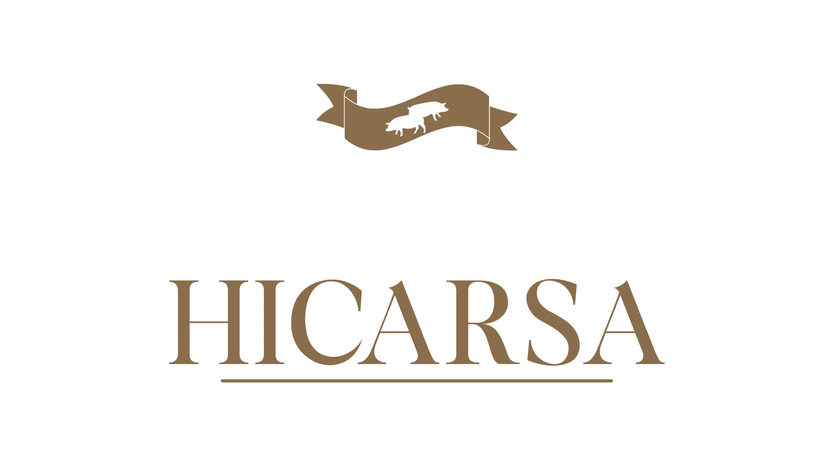 hicarsa.com